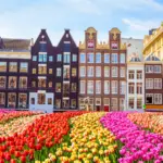 Hollanda Gezilecek Şehirler
